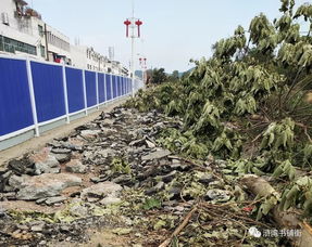 滸灣“一水兩岸”景觀工程正式啟動勘察，打造濱水生態新地標